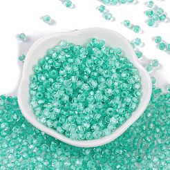Perles de rocaille en verre&nbsp;SEED-A032-05M