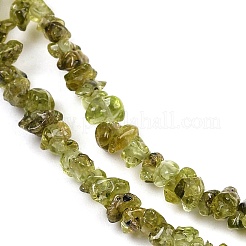 Natürlichen Peridot Perlen Stränge&nbsp;X-G-P332-48-02
