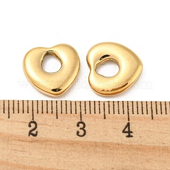 Anhänger aus 304 Edelstahl&nbsp;STAS-L022-222G