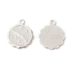 Charms in ottone&nbsp;KK-F772-19P-01