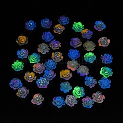 Leuchtende Decoden-Cabochons aus Harz&nbsp;RESI-K036-09B