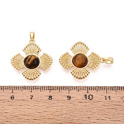 Pendentifs en œil de tigre naturel&nbsp;KK-N287-07G-03