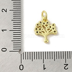 Ottone micro spianare fascino zirconi&nbsp;KK-M283-27D-01