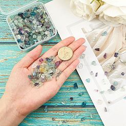 Perle di chip di fluorite naturale&nbsp;G-SC0001-27
