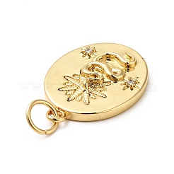 Placage de rack pendentifs en zircone cubique clair en laiton&nbsp;KK-H431-48G