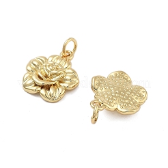 Messing Anhänger & Charms&nbsp;KK-Q006-04G