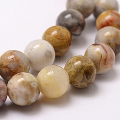 Brins de perles d'agate en dentelle folle naturelle&nbsp;X-G-D840-70-6mm