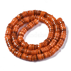 Naturali di acqua dolce perline shell fili&nbsp;SHEL-Q024-001G