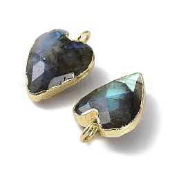 Pendentifs de labradorite naturelle&nbsp;G-G012-11G-06
