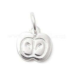 Lehrertag 925 Sterling Silber Apfel Charms&nbsp;STER-A048-19S