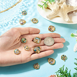 12 stücke 6 arten 304 edelstahl pflastern natürliche paua shell anhänger&nbsp;STAS-TA0005-90