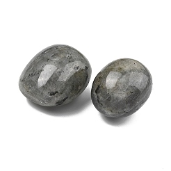 Natur Labradorit Perlen&nbsp;G-G348-01B-10