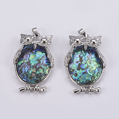 Abalone Muschel / Paua Muschel Anhänger&nbsp;SSHEL-L008-28P