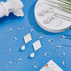 100 pièce de boucles d'oreilles à levier en acier inoxydable chirurgical 316L&nbsp;STAS-BBC0010-61S