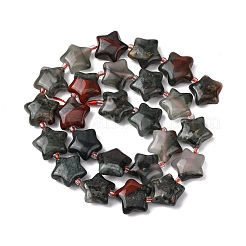 Natur Indien Achat Perlen Stränge&nbsp;G-K359-E07