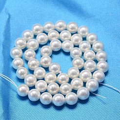 Ab Farbe überzog Shell-Perle runden Perle Stränge&nbsp;X-BSHE-L011-10mm-C001