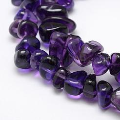 Natürlichen Amethyst Perlen Stränge&nbsp;G-F521-19