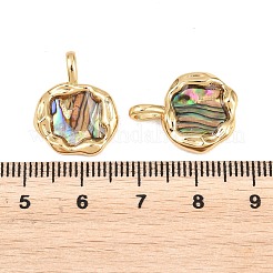Pendentifs irréguliers en laiton et nacre d'ormeau naturelle&nbsp;KK-I453-01G-01