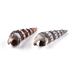 Spiralmuschelperlen&nbsp;LS-SSHEL-TAC0001-02D