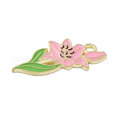 Colgantes de esmalte de aleación&nbsp;ENAM-P258-04G-G