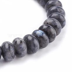 Perles naturelles labradorite étirent bracelets&nbsp;BJEW-JB03376-01