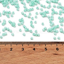 Perle di vetro per la cottura di vernici&nbsp;SEED-S042-05B-61