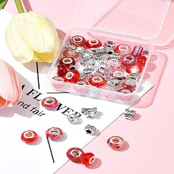 Kit de fabrication de perles européennes en alliage et résine de style tibétain&nbsp;DIY-FS0006-78E