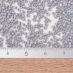 Miyuki Delica Perlen&nbsp;X-SEED-J020-DB1598