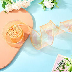 Ruban irisé en polyester de 10 mètre&nbsp;OCOR-TAC0017-04C