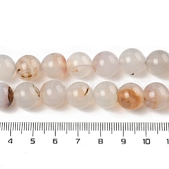 Fili di perline di agata dendritica naturale&nbsp;G-A248-A07-02