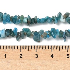 Natürliche Apatit Perlen Stränge&nbsp;G-G0003-B08-01