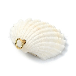Natürlichen Muschel Anhänger&nbsp;PALLOY-TA00079