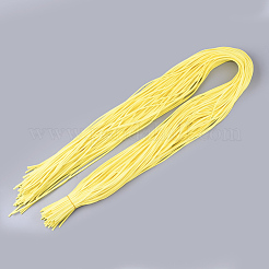 Cordon imitation daim&nbsp;LW-R023-2.8mm-21