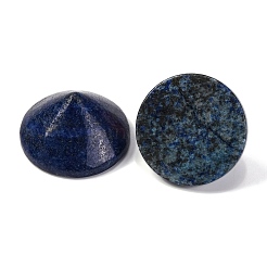 Natürliche lapislazuli gefärbte Cabochons&nbsp;G-Q184-01G