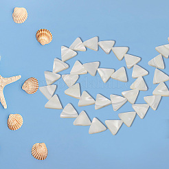 1 Strang natürliche Muschelperlenstränge&nbsp;BSHE-BC0001-13