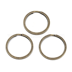 Anelli portachiavi di ferro&nbsp;IFIN-Q067-AB