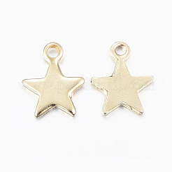 Anhänger aus 304 Edelstahl&nbsp;STAS-H436-51