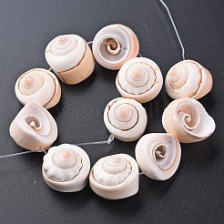 Natürliche Spiralschale Perlenstränge&nbsp;SSHEL-N034-106