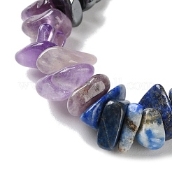 7 Chakra natürlicher roter Aventurin & gelber Aventurin & Lapislazuli & roter Jaspis & Quarzkristall & grüner Aventurin&nbsp;NJEW-H047-02