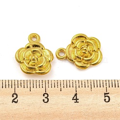 Pendentifs en alliage&nbsp;LS-FIND-G065-15G