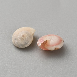 Coquillage naturel pour décoration d'aquarium&nbsp;AJEW-WH0816-162B