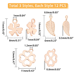 Breloques en acier inoxydable 304&nbsp;STAS-UN0019-40RG