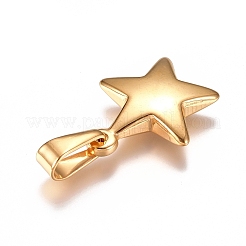 Pendentifs en acier inoxydable 304&nbsp;X-STAS-I135-25G