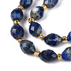 Natürlicher Lapislazuli Perlenstränge&nbsp;G-N342-53-8x6-10