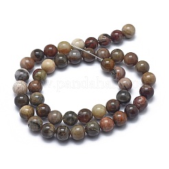 Chapelets de perles en bois pétrifié naturel&nbsp;LS-G-I254-07B