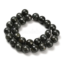 Natürliche grüne Zyanitperlenstränge&nbsp;G-H335-B02-14mm-AB