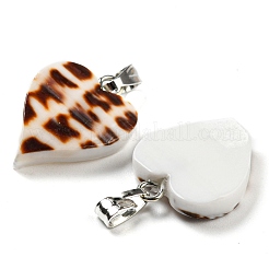 Natürliche Spirale Shell Anhänger&nbsp;PALLOY-Q462-01P