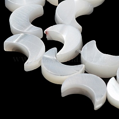 Natürliche Trochusmuschelperlenstränge&nbsp;BSHE-P033-08