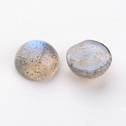 Natur Labradorit Cabochons&nbsp;X-G-D804-02