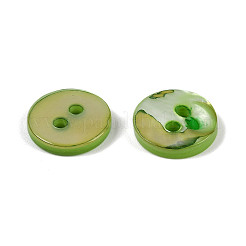 Süßwasser-Shell-Tasten&nbsp;SHEL-C005-01C-09